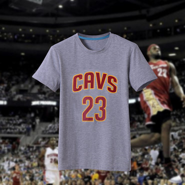 Lebron James Fresh Logo Grey Men's Short Sleeve T-Shirt